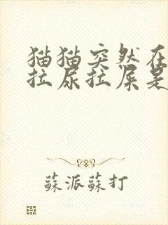 猫猫突然在床上拉尿拉屎是为什么