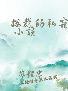 总裁的私宠甜妻 小说