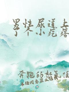 男性尿道上面长了个小疙瘩