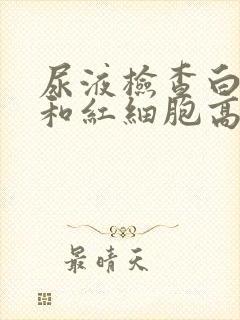 尿液检查白细胞和红细胞高是什么原因