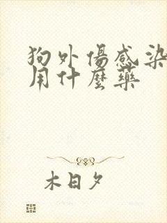 狗外伤感染化脓用什么药