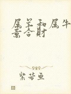 属羊和属牛做生意合财