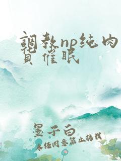 调教np纯肉骚货催眠