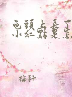 龟头上长了一颗小红点是怎么回事