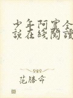 少年阿宾全集小说在线阅读