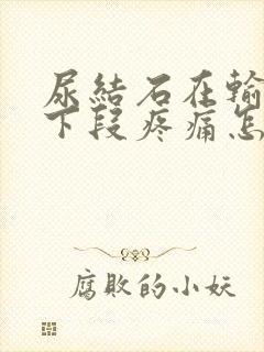 尿结石在输尿管下段疼痛怎么办