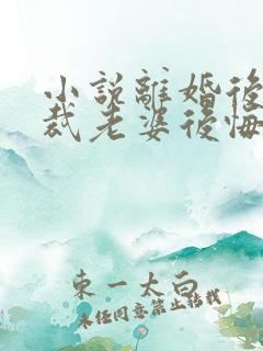 小说离婚后,总裁老婆后悔了最新章节