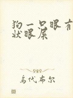 狗一只眼有黄脓状眼屎