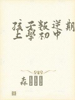 孩子叛逆期不想上学初中