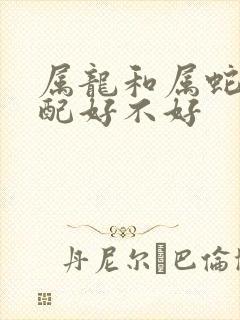 属龙和属蛇的婚配好不好