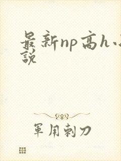 最新np高h小说
