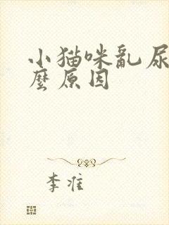 小猫咪乱尿是什么原因