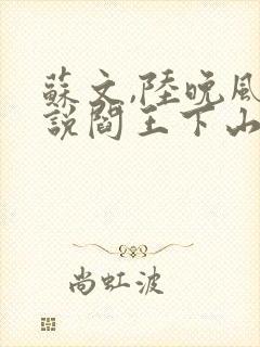 苏文,陆晚风小说阎王下山