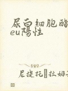 尿白细胞酯酶leu阳性