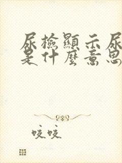 尿检显示尿隐血是什么意思