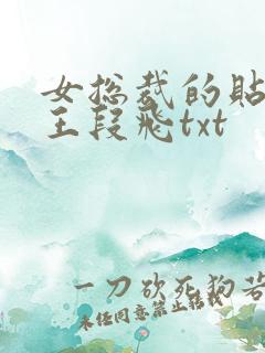 女总裁的贴身兵王段飞txt