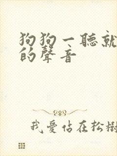 狗狗一听就拉尿的声音