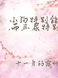 小狗特别能喝水,而且尿特别多,怎么回事儿