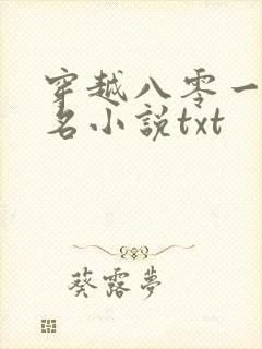 穿越八零一身恶名小说txt