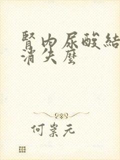 肾内尿酸结晶会消失么