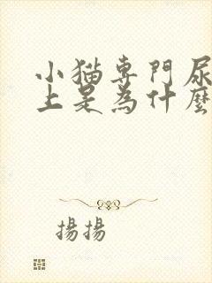 小猫专门尿我床上是为什么