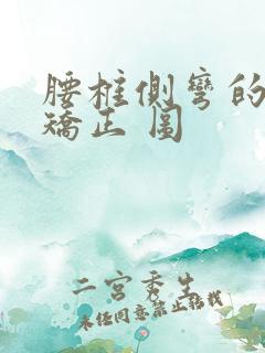 腰椎侧弯的自我矫正 图