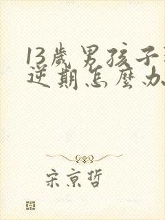 13岁男孩子叛逆期怎么办