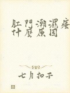 肛门潮湿瘙痒是什么原因