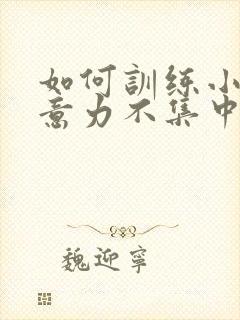 如何训练小孩注意力不集中