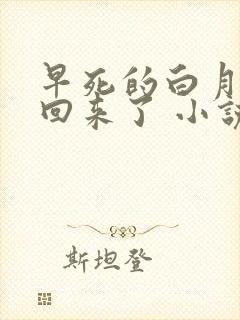 早死的白月光又回来了 小说