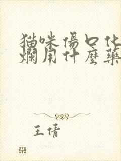 猫咪伤口化脓溃烂用什么药