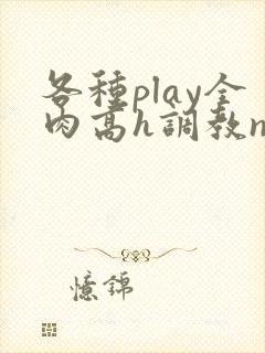各种play全肉高h调教np