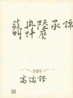 苏冉陆承锦小说叫什么