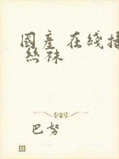 国产 在线播放 丝袜