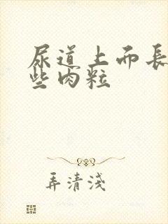 尿道上面长了一些肉粒