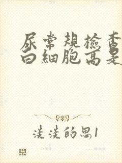 尿常规检查镜检白细胞高是什么原因