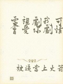 电视剧我可能不会爱你剧情介绍