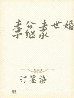 老公去世婚前房子继承