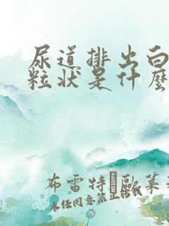 尿道排出白色颗粒状是什么东西