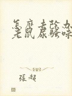 怎么去除办公室老鼠尿骚味