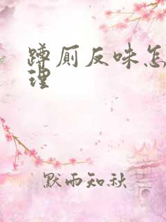 蹲厕反味怎么处理