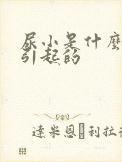 尿小是什么原因引起的