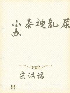 小泰迪乱尿怎么办