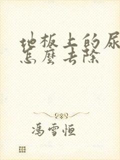 地板上的尿骚味怎么去除