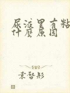 尿液里有粘液是什么原因