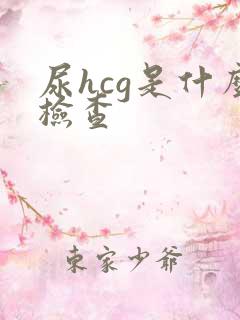 尿hcg是什么检查