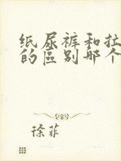 纸尿裤和拉拉裤的区别哪个比较好