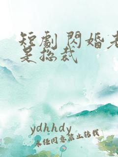 短剧 闪婚老公是总裁