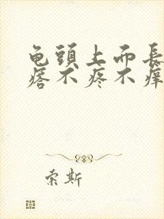 龟头上面长小疙瘩不疼不痒什么原因