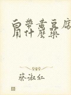 白带黄豆腐渣状用什么药